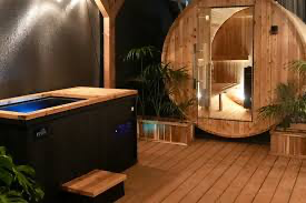 Plunge Pool & Sauna Render